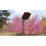 太陽(yáng)能光伏路燈