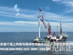 山東首個海上風(fēng)電與海洋牧場融合試驗項目全部風(fēng)機(jī)吊裝完成 即將并網(wǎng)!